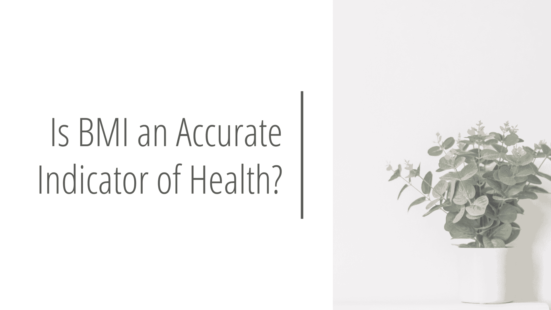 Is BMI An Accurate Indicator Of Health?, Written By A Dietitian