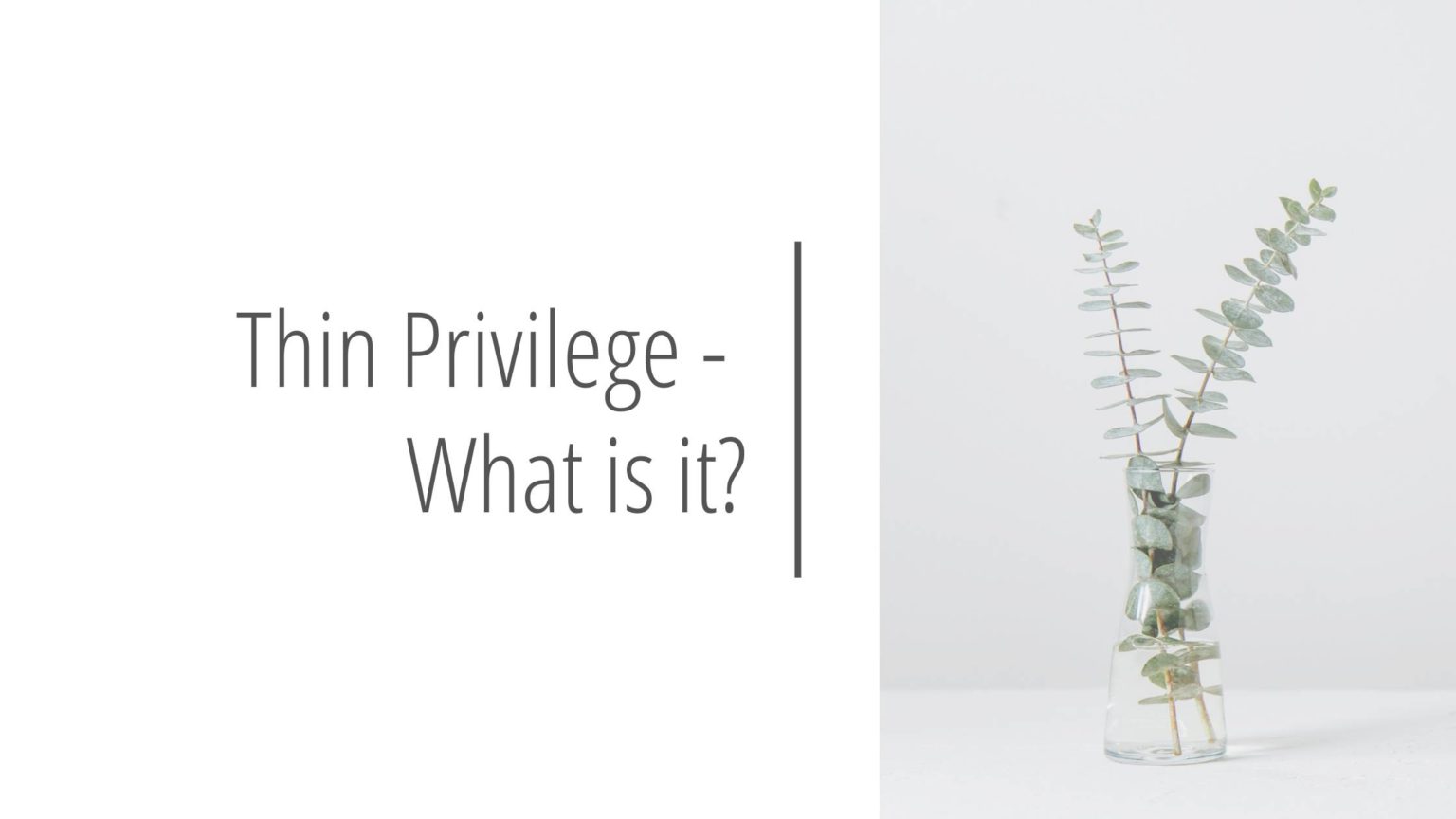 thin-privilege-what-is-it