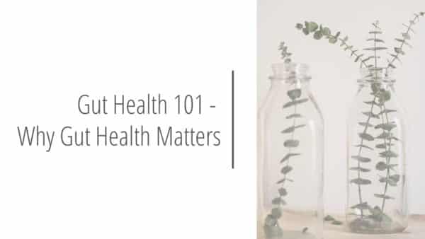 Post header image that reads - Gut Health 101 - Why Gut Health Matters