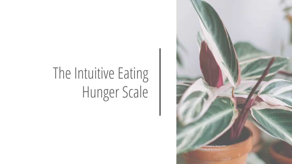 Post header image that reads The Intuitive Eating Hunger Scale